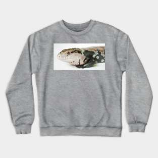 Halmahera Blue-Tongued Skink Crewneck Sweatshirt